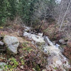 Meet your Posher, Jorge